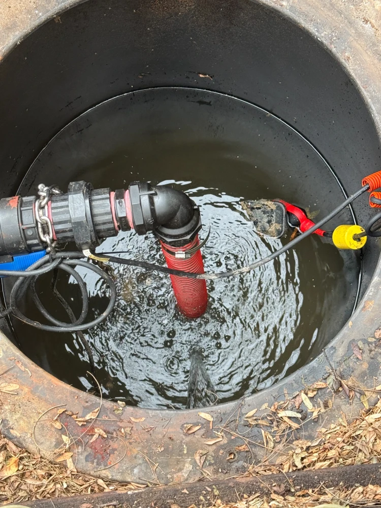 Testing & Commissioning